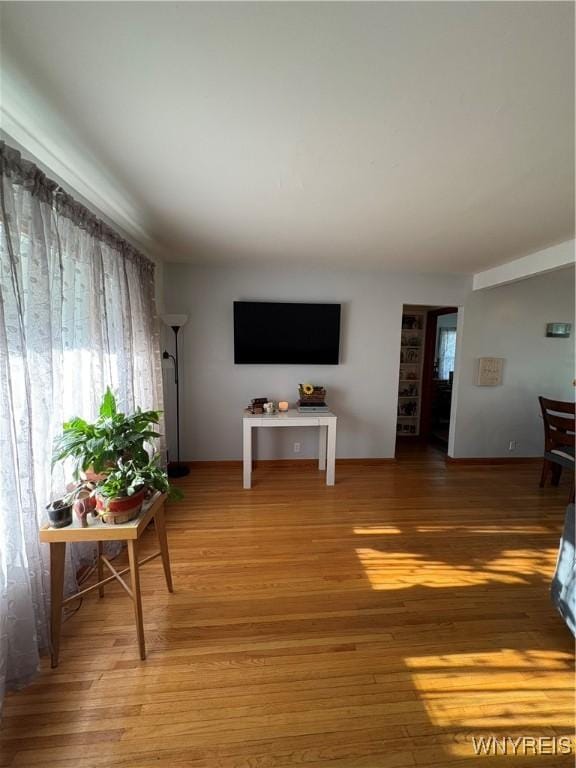 living room featuring light wood-type flooring and a healthy amount of sunlight