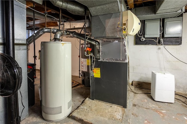 utilities featuring gas water heater and electric panel