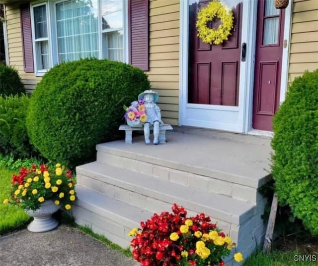 property entrance featuring covered porch