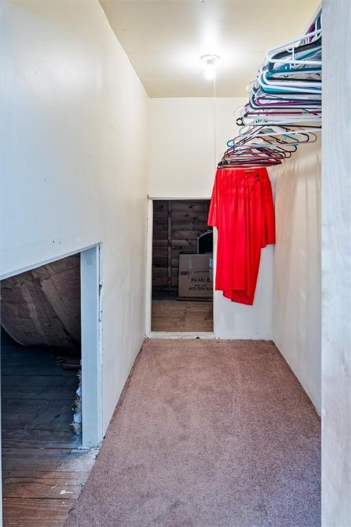 walk in closet with carpet