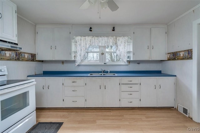 kitchen with visible vents, a ceiling fan, white electric range, under cabinet range hood, and a sink