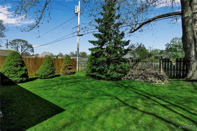 view of yard featuring a fenced backyard