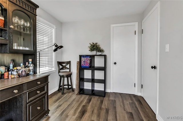 interior space featuring dark wood-style flooring and baseboards