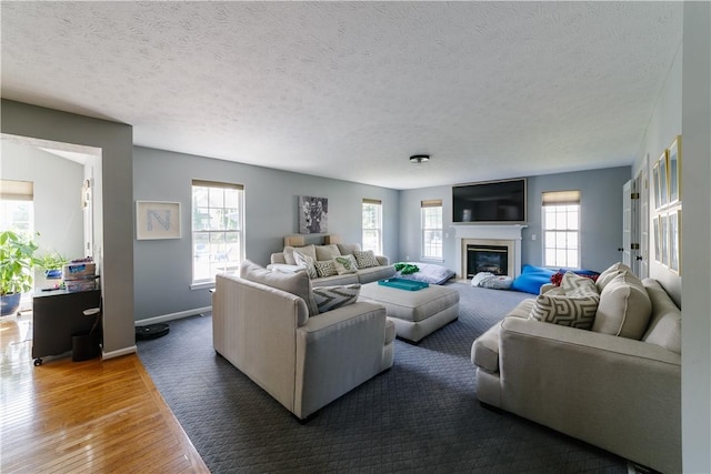 living room featuring baseboards, a textured ceiling, wood finished floors, and a wealth of natural light