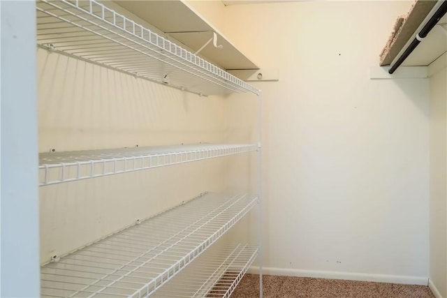 walk in closet featuring carpet