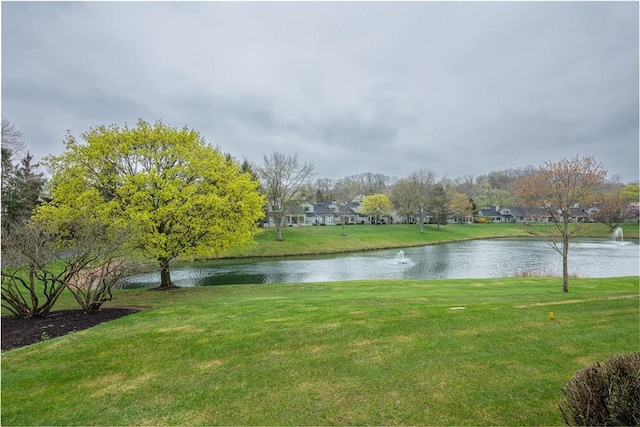 property view of water