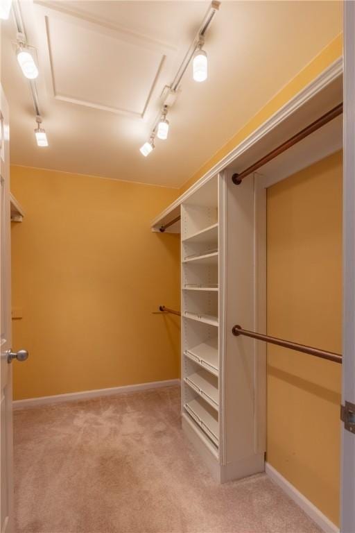 spacious closet with light colored carpet