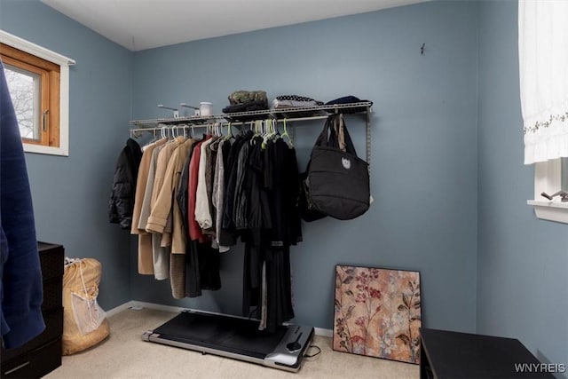 walk in closet featuring carpet