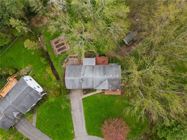 bird's eye view