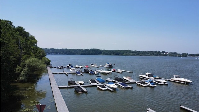water view featuring a dock