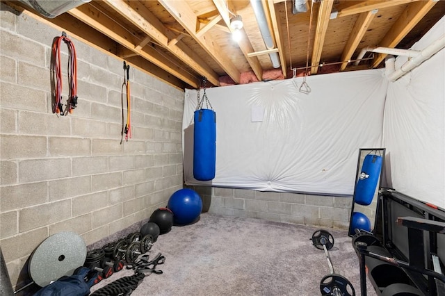 workout area featuring carpet flooring and concrete block wall
