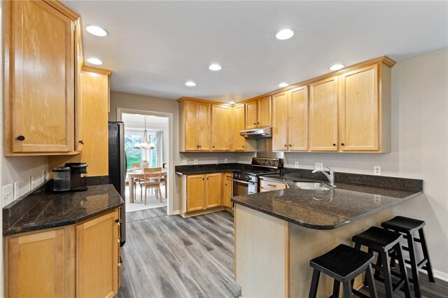 kitchen featuring appliances with stainless steel finishes, a sink, light wood finished floors, a peninsula, and under cabinet range hood