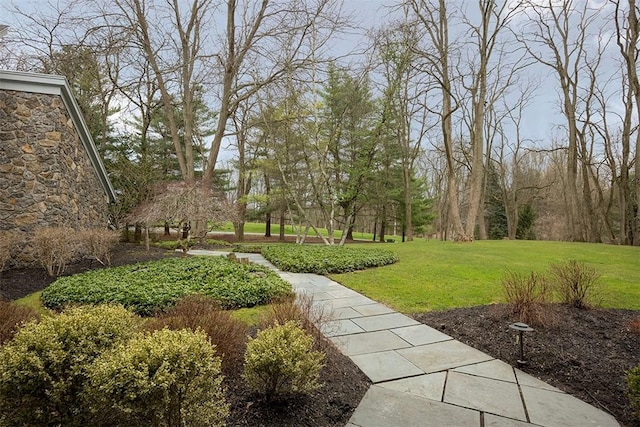 view of community with a lawn