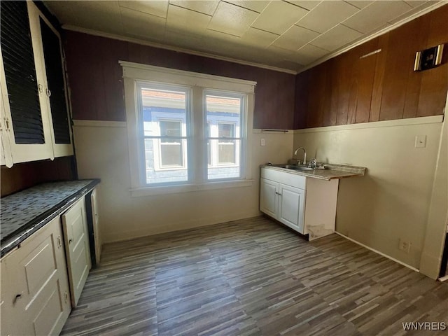 kitchen featuring crown molding, a sink, wood finished floors, and wooden walls