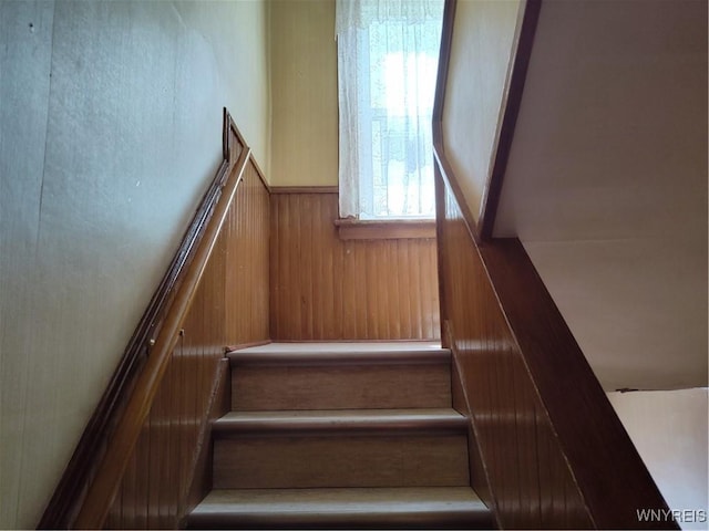 stairs featuring wooden walls
