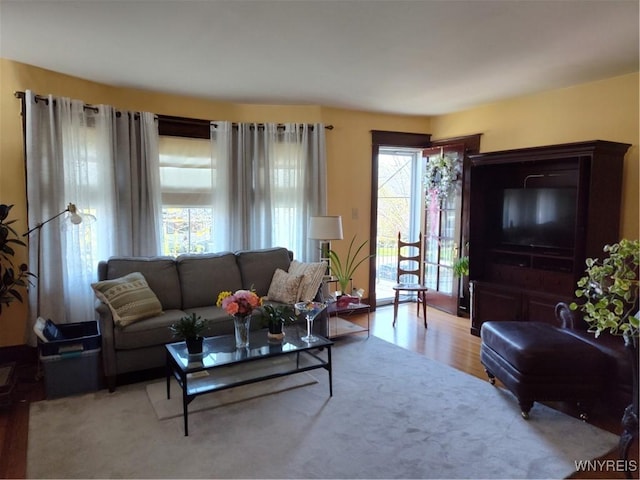 living room with plenty of natural light and wood finished floors