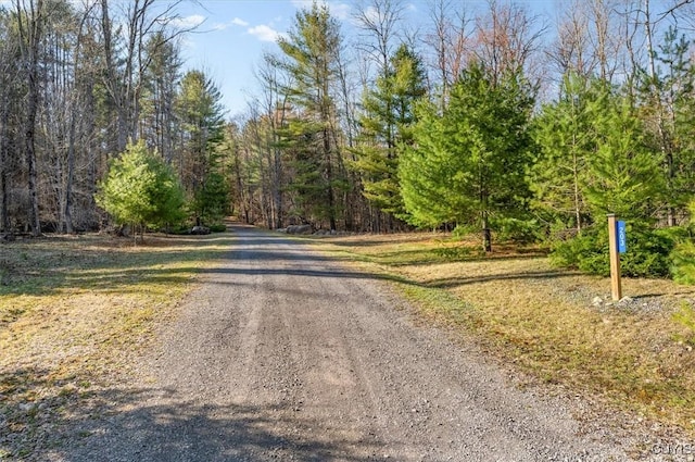 view of road with a forest view