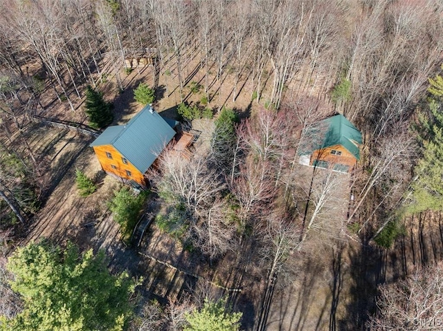 drone / aerial view
