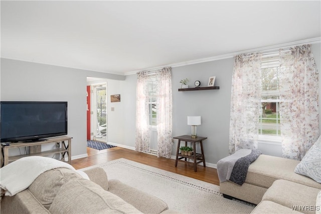 living area featuring crown molding, baseboards, and wood finished floors