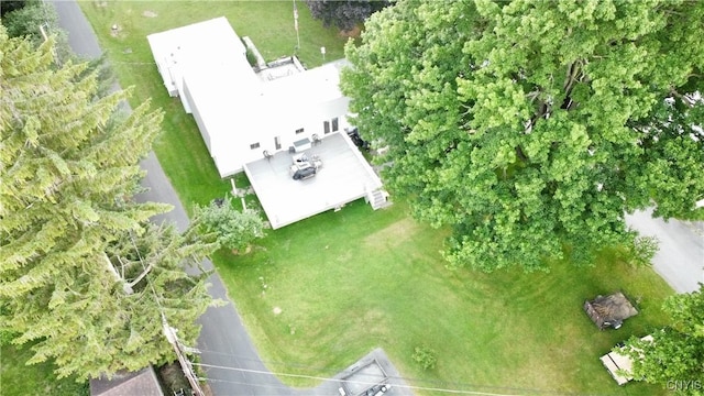 drone / aerial view