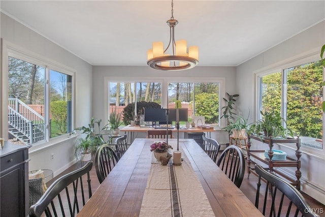 dining area with crown molding, wood finished floors, and a healthy amount of sunlight