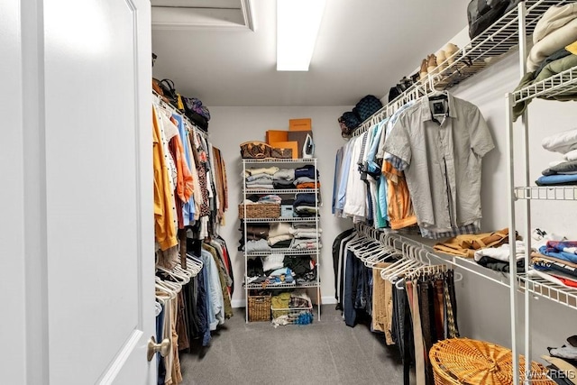 walk in closet with carpet flooring