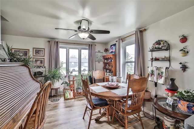 dining room featuring ceiling fan and light wood-style flooring