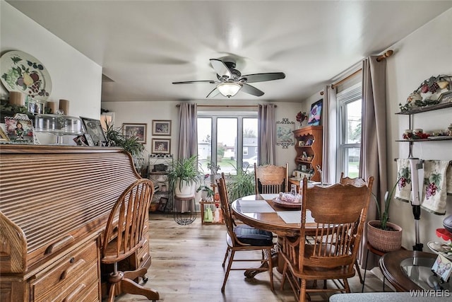 dining space with light wood-type flooring, a ceiling fan, and a wealth of natural light