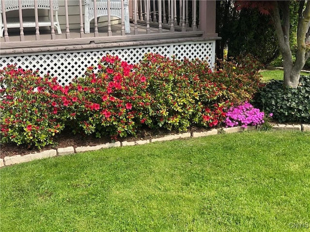 view of yard featuring a deck