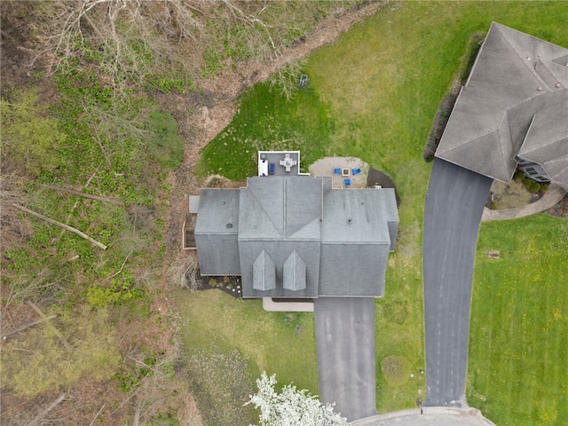 drone / aerial view