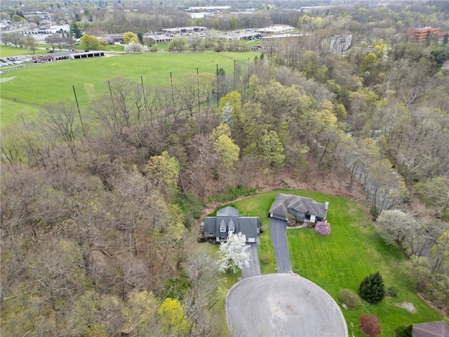 aerial view