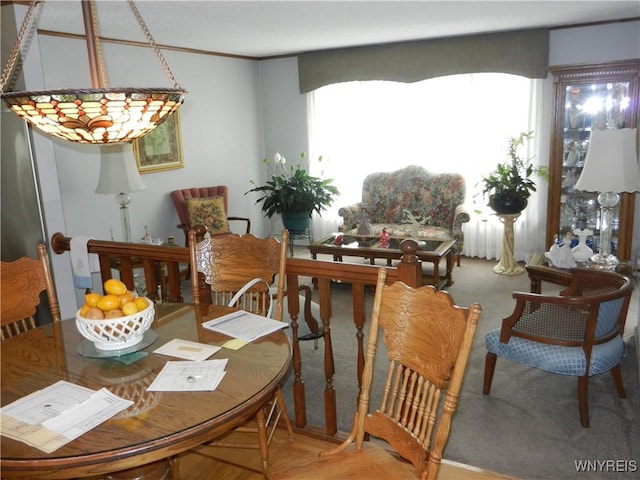 dining area featuring a healthy amount of sunlight