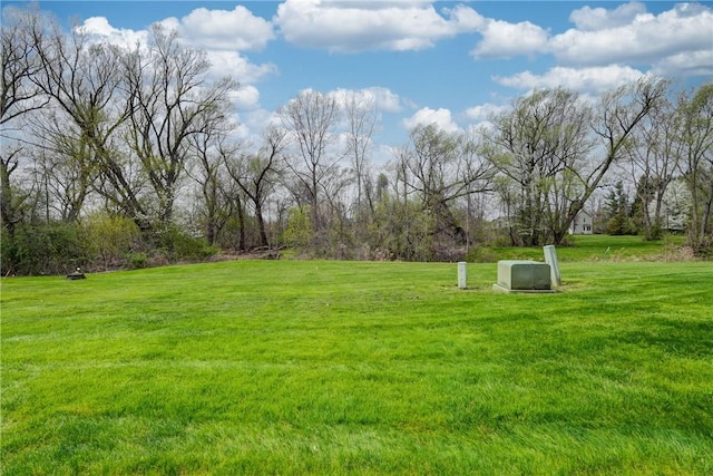 view of yard
