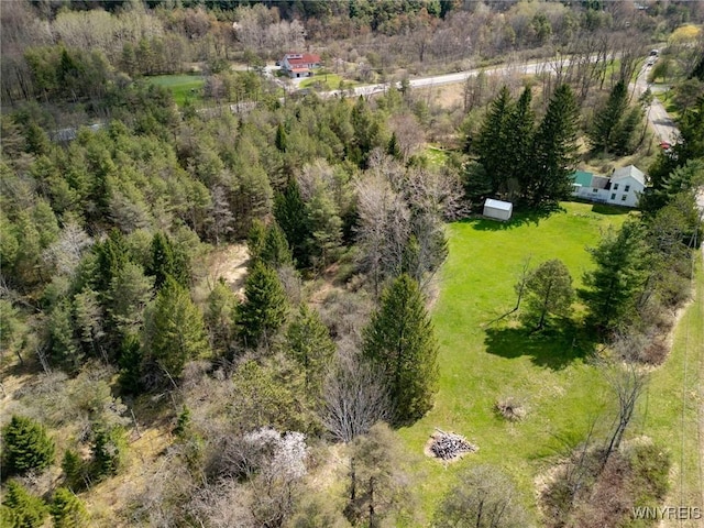 drone / aerial view