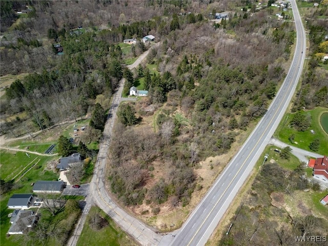 bird's eye view