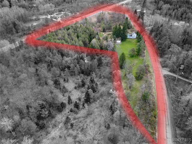 aerial view featuring a view of trees