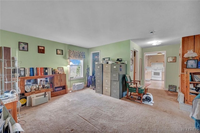 interior space with carpet flooring