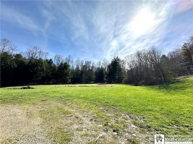 view of yard featuring a rural view and a wooded view