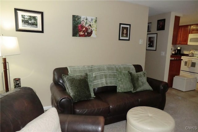 living room featuring light carpet