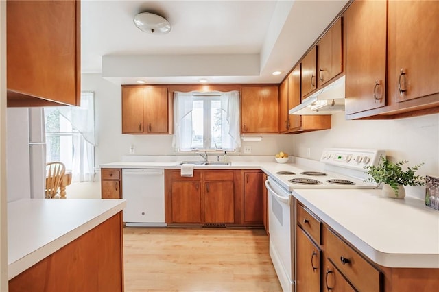 kitchen with brown cabinets, a sink, white appliances, light wood-type flooring, and under cabinet range hood