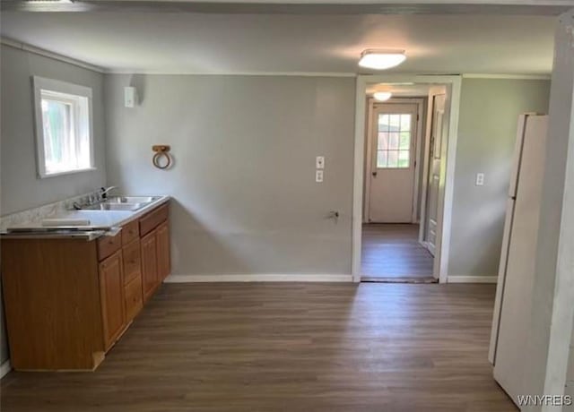 interior space with a sink, crown molding, freestanding refrigerator, and wood finished floors