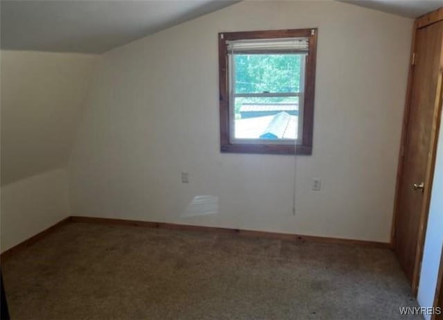 bonus room with baseboards, carpet flooring, and vaulted ceiling