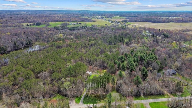 46 Otis Acres Dr, Richland, NY 13142 - photo 48