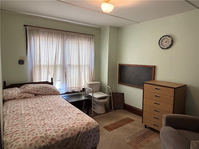 2384 State Highway 205, Laurens, NY 13810 - bedroom featuring ornamental molding, light carpet, and multiple windows