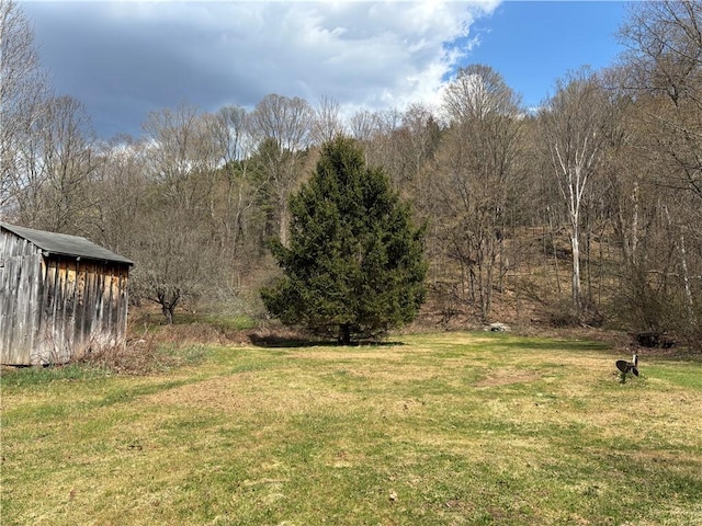 2384 State Highway 205, Laurens, NY 13810 - view of yard featuring an outdoor structure and a forest view