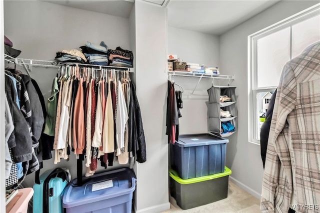 spacious closet featuring carpet floors