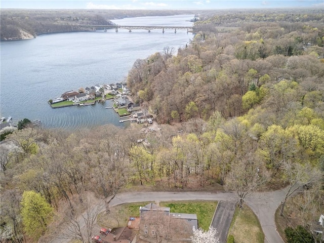 bird's eye view featuring a water view and a view of trees