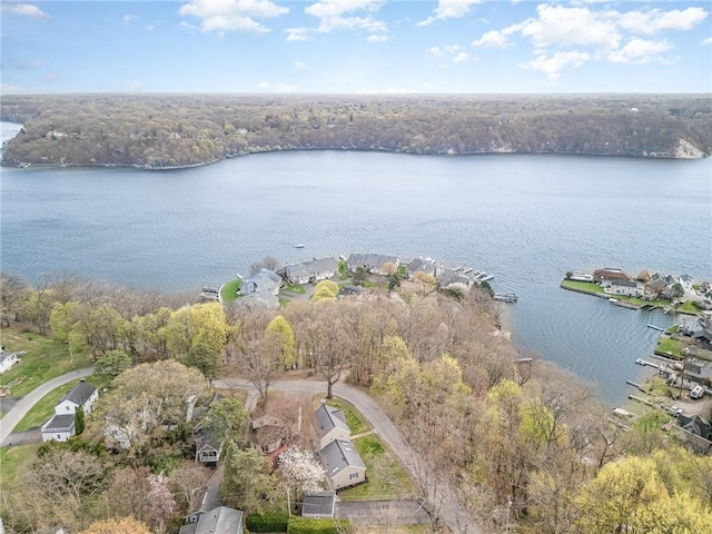 aerial view featuring a water view and a forest view