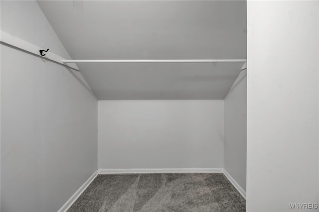 walk in closet featuring carpet floors and lofted ceiling
