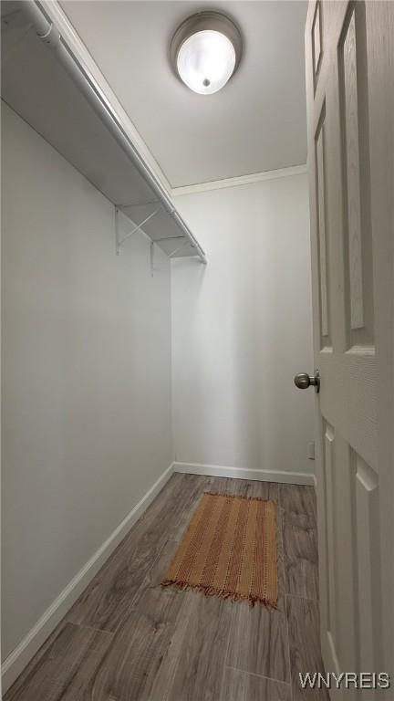 walk in closet with wood finished floors